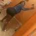 Brazzeyy 💦😋💕 (@brittan58216637) Twitter profile photo Brazzeyy 💦😋💕 (@brittan58216637) Twitter profile photo