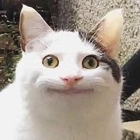 きまぐれロボット (@kimagure_robot_) 's Twitter Profile