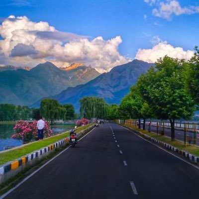 Research Scholar At Aligarh Muslim University//Comparative Literature//