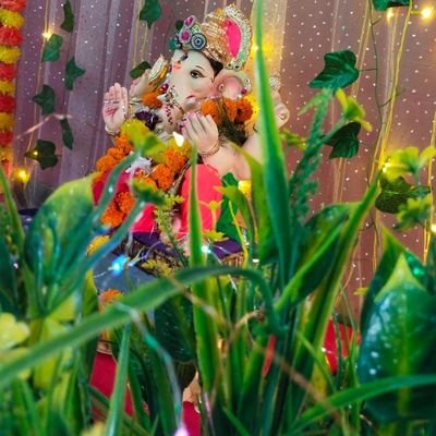 rohitamsinghjat's profile picture. तमसो माः ज्योतिगर्मय। गिरते हैं शहसवार ही मैदान ए जंग में, वो तिफल क्या गिरे जो घुटनों के बल चले।