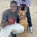 Lamin camara (@lamincamar66983) Twitter profile photo Lamin camara (@lamincamar66983) Twitter profile photo