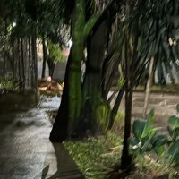 morbo_oa (@morbo_sab) 's Twitter Profile