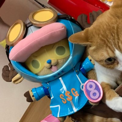 オタ活用・色々何か作ってますコスプレもします/戸田鬼太郎くんから絶賛ゲ謎沼中お友達募集中ー乙米コス/着物好き/江野先生/江ノ島先生/金カム/フィギュア収集/衣装造形お洋服作り/妖怪アカ作りました→@mononoke_uki