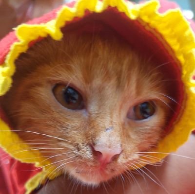 JeonHani0701's profile picture. 