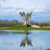 Jasenovac Memorial Site (@jusp_jasenovac) Twitter profile photo Jasenovac Memorial Site (@jusp_jasenovac) Twitter profile photo