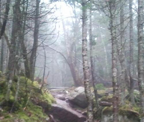 Gillesjr95's profile picture. 