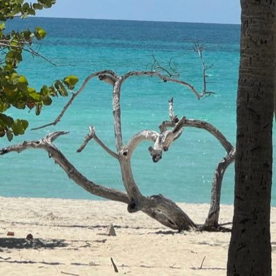 dphierro's profile picture. 