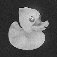 ducktyper's profile picture. 