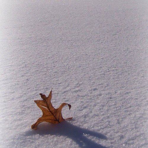 heemhmod's profile picture. 