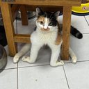 Nevaeh wise - @Nevaehawise - Twitter