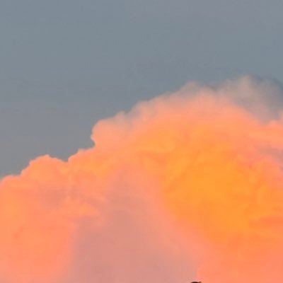 loganchilds_'s profile picture. •24