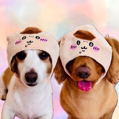 matsunonotsuma's profile picture. 