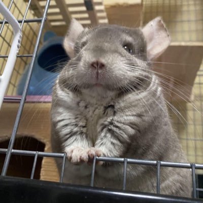 torblefilms's profile picture. 3D Concept Artist