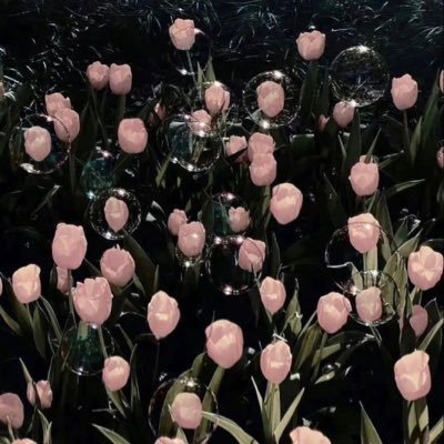 xxewqaa's profile picture. 