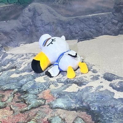 이코이코さんのプロフィール画像