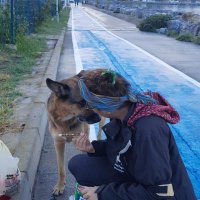 MisanthropeⓋ🌈 #AYMYasayıİptalEt (@eporhtnasimic) 's Twitter Profile Photo MisanthropeⓋ🌈 #AYMYasayıİptalEt (@eporhtnasimic) 's Twitter Profile Photo