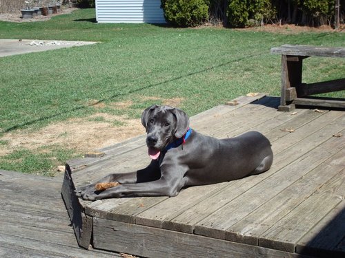 Munchkinette's profile picture. 