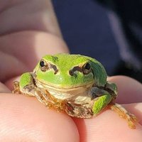 ただの人 (@kkkouiko) 's Twitter Profile