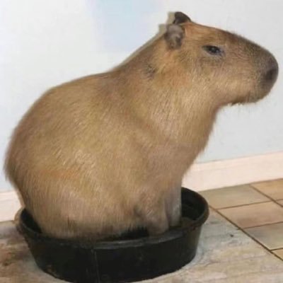 David2628974291's profile picture. 