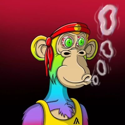 ||DePIN based|| Moderator @dephynetwork || ||UITE|| ||WGBA member|| || ambassador @arbusai @dephynetwork||