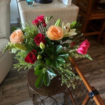 pjjohnston10's profile picture. My family is my world ❤️. MAGA 🇺🇸