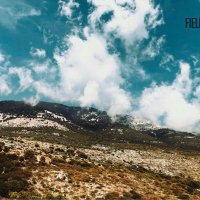 Tim Gilbert / Fields of Few (@fields_of_few) 's Twitter Profile