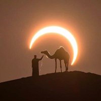Roger Barkley (@sun_sand_cows) 's Twitter Profile Photo Roger Barkley (@sun_sand_cows) 's Twitter Profile Photo