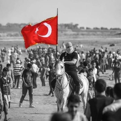 Darulefkarr's profile picture. Din-ü devlet, mülk-ü millet...