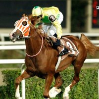 AYABAKAN (@azaraks754) 's Twitter Profile Photo