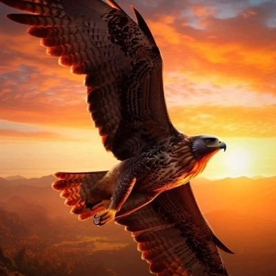 geo123Ahmed's profile picture. 