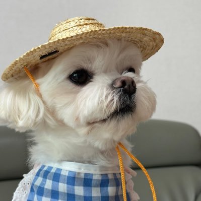 west_cu's profile picture. 