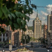 Film Albany (@albanyfilm) 's Twitter Profile Photo