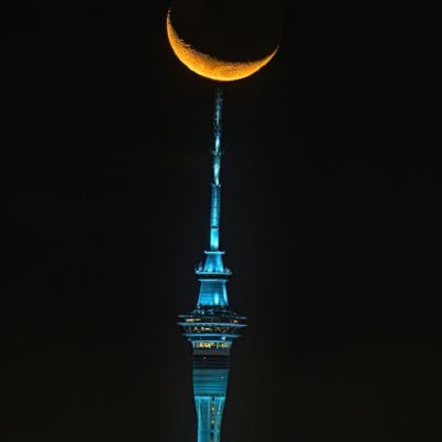 Reign_2O's profile picture. 🇼🇸 🇳🇺