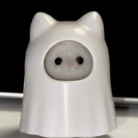 김 (@kimestic) 's Twitter Profile Photo
