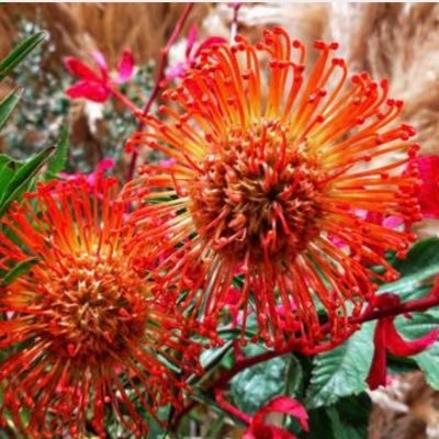 abdk1986ty's profile picture. 20↑。ハマのお2人＆中の人、∞な方々が好き。🐉🏯にもハマり中。無言フォローすみません。基本は見る専ですが時々つぶやくかもです。