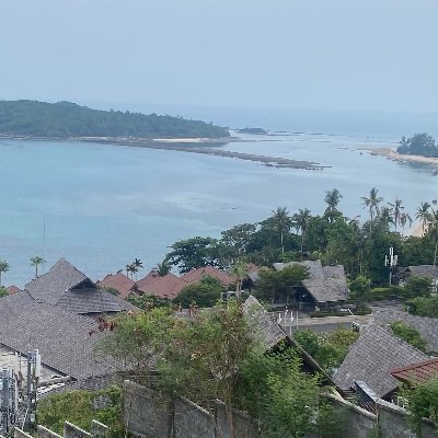 NuPha11838's profile picture. 