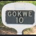 Gokwe (@musaigwachaivo) Twitter profile photo Gokwe (@musaigwachaivo) Twitter profile photo