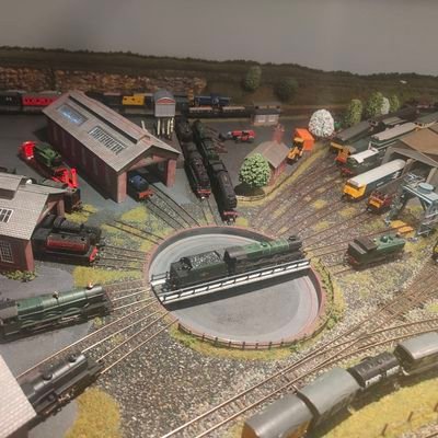 Living with bi-polar. We Need to stamp out mental health discrimination. Building a n gauge model railway. Views are my own.