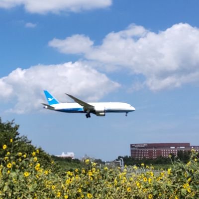 v_vmimimimiv_v's profile picture. 2️⃣人の👧👦子供のシンママです😊毎日ボーッとした感じで過ごしてます🤣投稿は気ままです💬 (笑)🐸