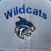 Lee County Wildcats Fastpitch Softball (@leewildcats) Twitter profile photo Lee County Wildcats Fastpitch Softball (@leewildcats) Twitter profile photo
