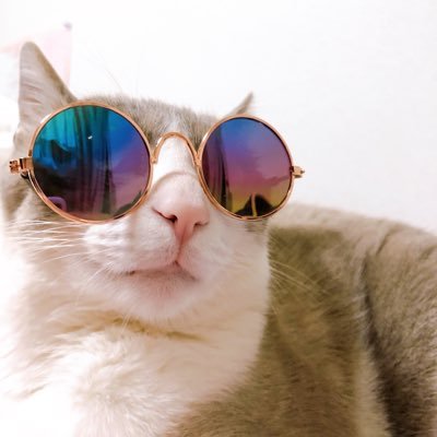 siyuanbear's profile picture. 🇨🇳/情報卒/猫!猫!猫!🐈/买书如山倒读书如抽丝/📚積読み/iOS/Android/AI/Algorithm/ex-teamlab/エンジニア/旅客機/絵描き/UIUX/🏡大阪→名古屋→東京