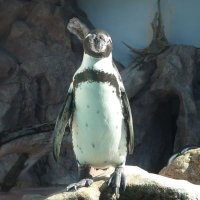 Onederer_yoho (@onederer_yoho) 's Twitter Profile