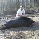 Tweet bird - @DaltonGrant2 - Twitter