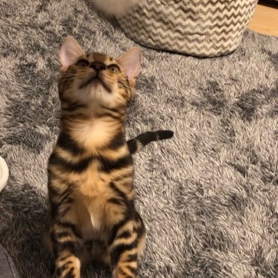 I4Sth9's profile picture. 大阪