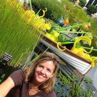 Julie Sistrunk (@juliesistrunk) 's Twitter Profile