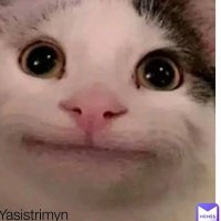 Mareaa (@missmareaa) 's Twitter Profile