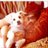 bekroll's profile image