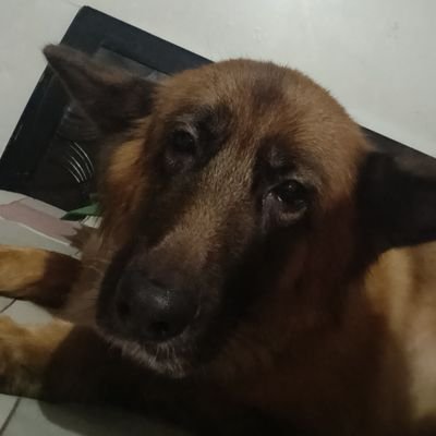 Full-Stack Developer | Skilled in JavaScript and MERN stack | Exploring Web3, Open source, and Freelancing | Looking for opportunities