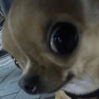 LakeChan (@lakechan253) 's Twitter Profile