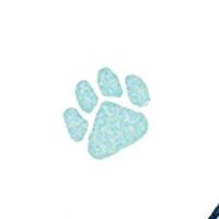 ᴄʜᴀ-ʜᴀɴ (@han_chaaahan) Twitter profile photo